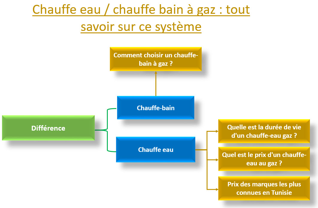 chauffe eau / chauffe bain à gaz