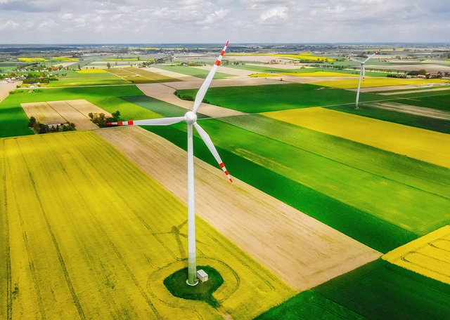 Énergie verte en Tunisie : avantages économiques et environnementaux