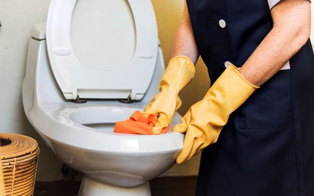Toilettes Bouchées : Guide Complet pour Déboucher Vos WC en Tunisie Sans Stress